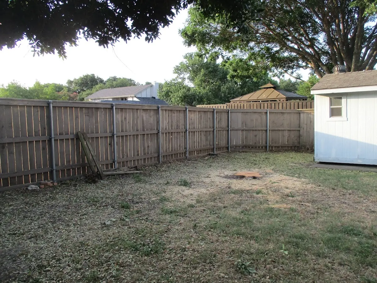Cleared yard after professional tree removal in Toronto